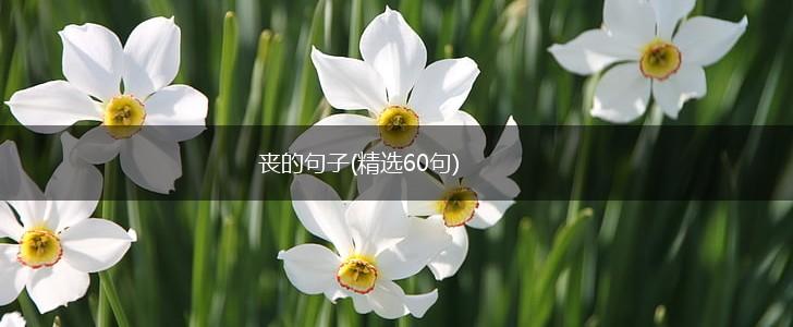 丧的句子(精选60句),第1张