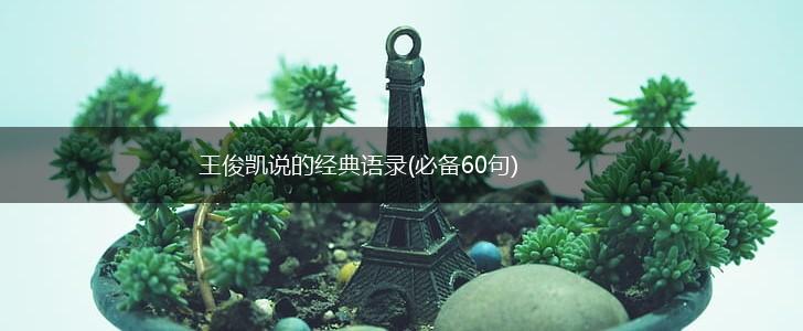 王俊凯说的经典语录(必备60句),第1张