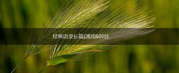 经典语录长篇(通用60句),第1张