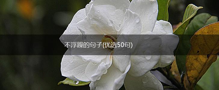 不浮躁的句子(优选50句),第1张