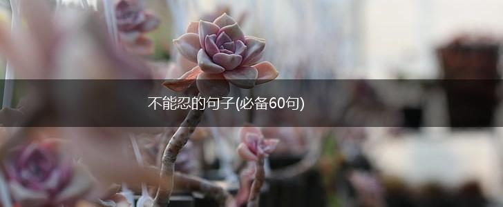 不能忍的句子(必备60句),第1张