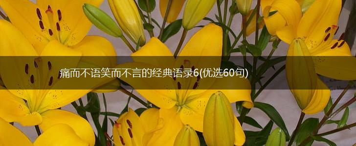 痛而不语笑而不言的经典语录6(优选60句),第1张