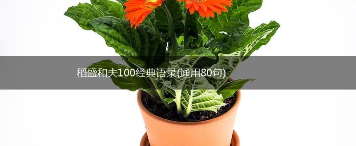 稻盛和夫100经典语录(通用80句),第1张