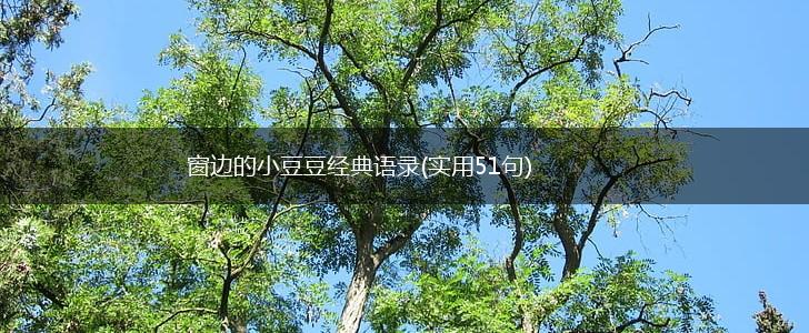 窗边的小豆豆经典语录(实用51句),第1张