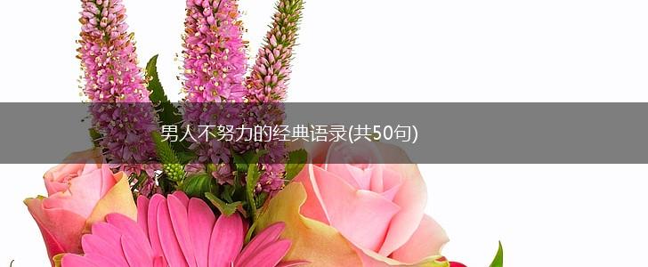 男人不努力的经典语录(共50句),第1张 男人不努力的经典语录(共50句),第1张