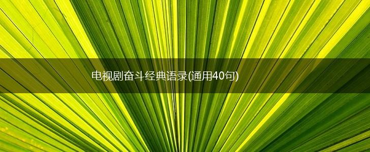 电视剧奋斗经典语录(通用40句),第1张