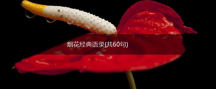 烟花经典语录(共60句),第1张