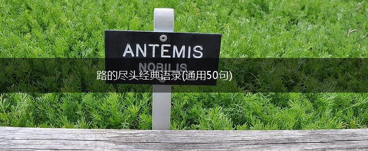 路的尽头经典语录(通用50句),第1张