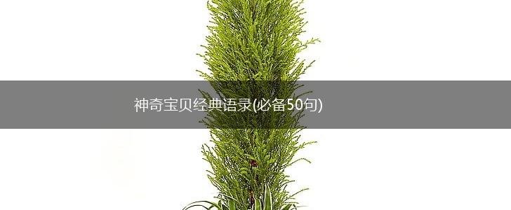 神奇宝贝经典语录(必备50句),第1张