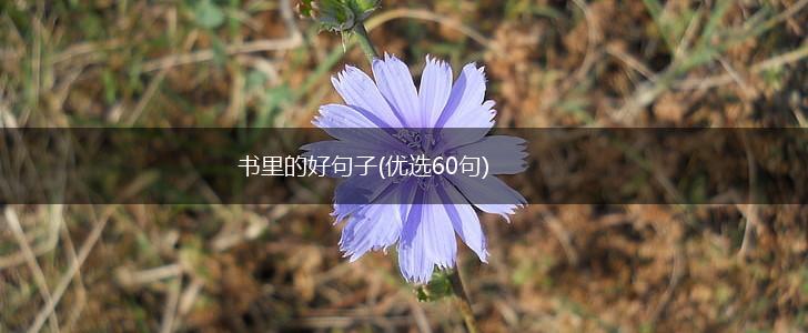 书里的好句子(优选60句),第1张