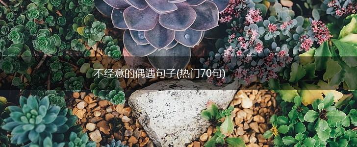 不经意的偶遇句子(热门70句),第1张