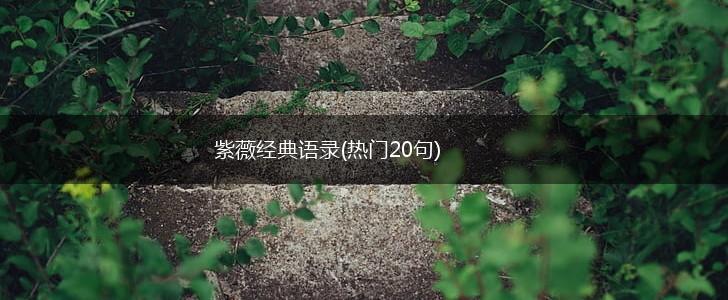 紫薇经典语录(热门20句),第1张
