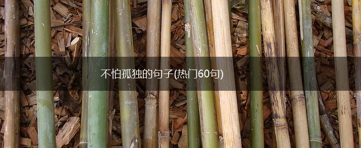 不怕孤独的句子(热门60句),第1张