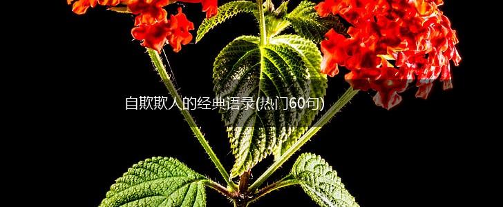 自欺欺人的经典语录(热门60句),第1张