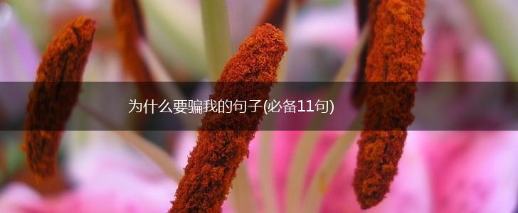 为什么要骗我的句子(必备11句),第1张