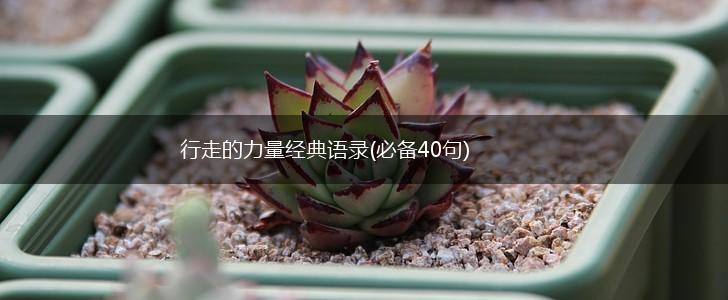 行走的力量经典语录(必备40句),第1张