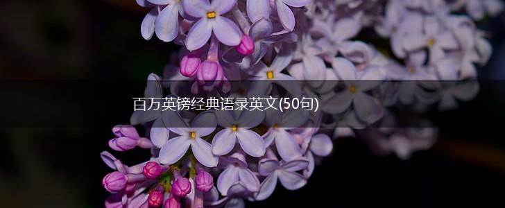 百万英镑经典语录英文(50句),第1张
