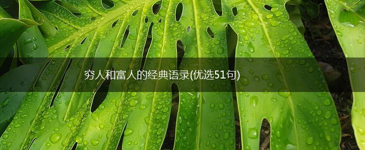 穷人和富人的经典语录(优选51句),第1张