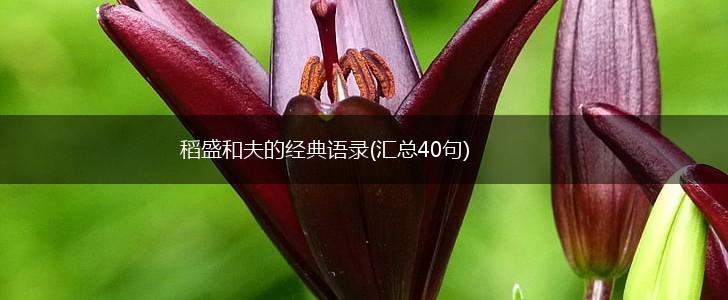 稻盛和夫的经典语录(汇总40句),第1张