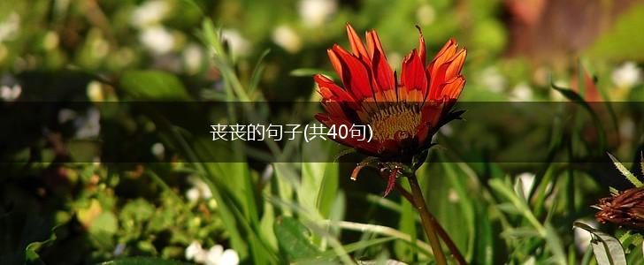 丧丧的句子(共40句),第1张