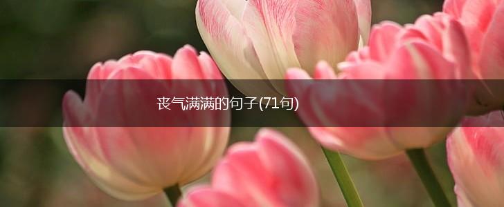 丧气满满的句子(71句),第1张