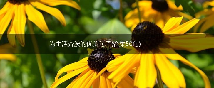 为生活奔波的优美句子(合集50句),第1张