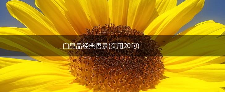 白晶晶经典语录(实用20句),第1张