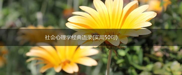 社会心理学经典语录(实用50句),第1张
