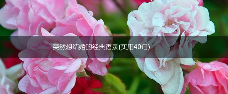 突然想结婚的经典语录(实用40句),第1张
