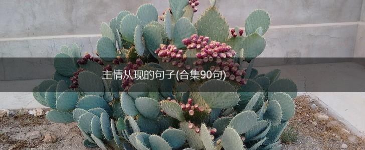 主情从现的句子(合集90句),第1张