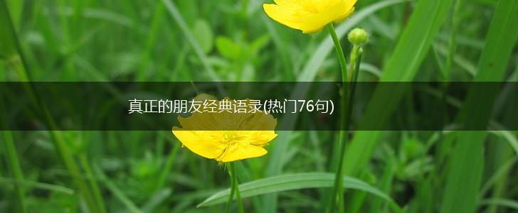 真正的朋友经典语录(热门76句),第1张