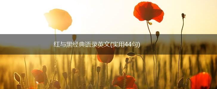 红与黑经典语录英文(实用44句),第1张