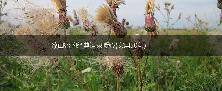 致闺蜜的经典语录暖心(实用50句),第1张