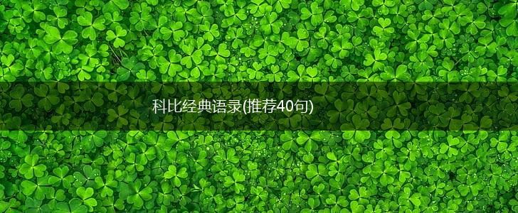 科比经典语录(推荐40句),第1张