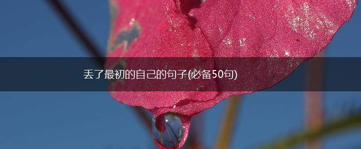 丢了最初的自己的句子(必备50句),第1张