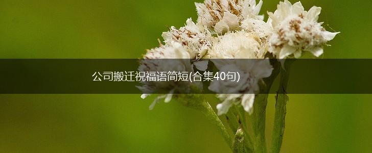 公司搬迁祝福语简短(合集40句),第1张
