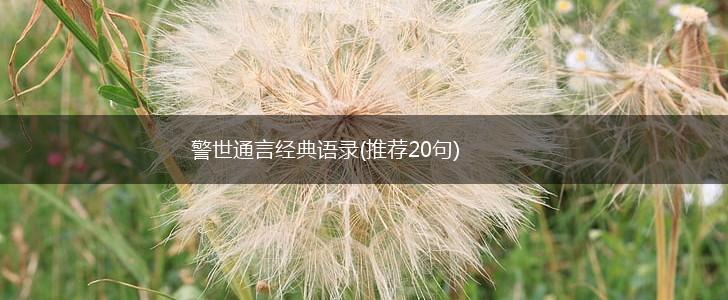 警世通言经典语录(推荐20句),第1张