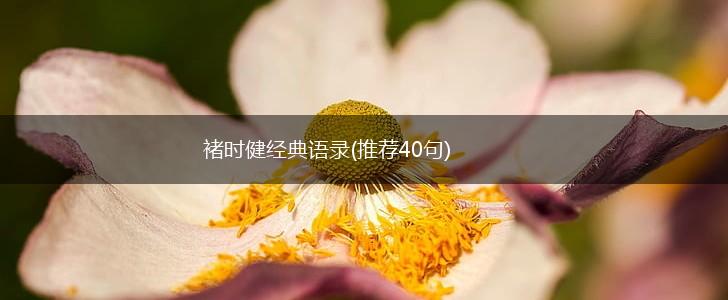 褚时健经典语录(推荐40句),第1张 褚时健经典语录(推荐40句),第1张