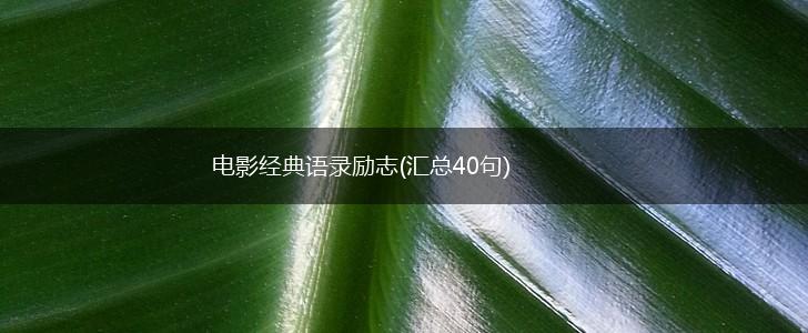 电影经典语录励志(汇总40句),第1张