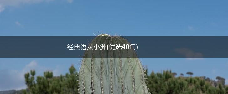经典语录小洲(优选40句),第1张
