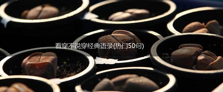 看穿不说穿经典语录(热门50句),第1张