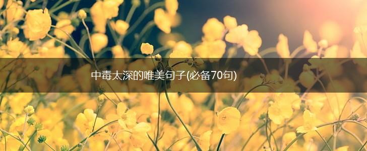中毒太深的唯美句子(必备70句),第1张