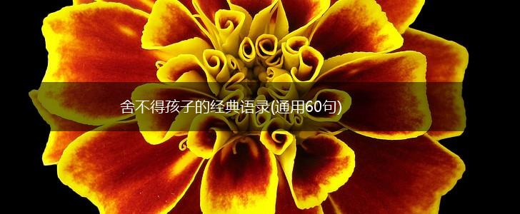 舍不得孩子的经典语录(通用60句),第1张