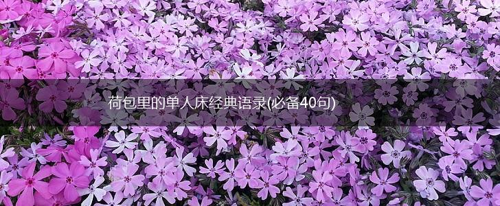 荷包里的单人床经典语录(必备40句),第1张