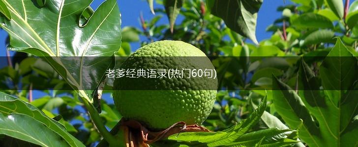 老爹经典语录(热门60句),第1张