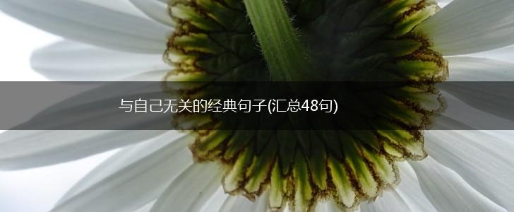 与自己无关的经典句子(汇总48句),第1张
