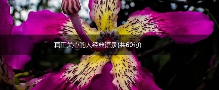 真正关心的人经典语录(共60句),第1张