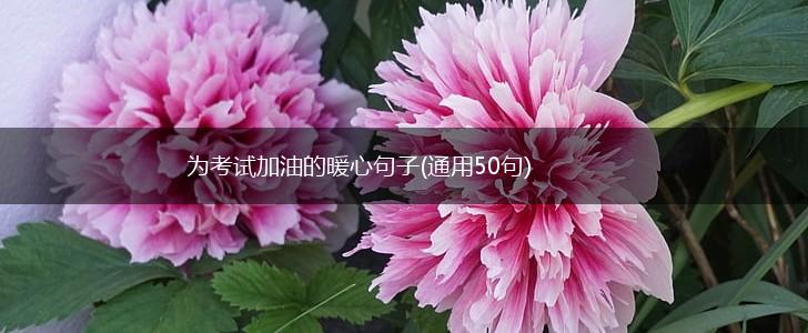 为考试加油的暖心句子(通用50句),第1张