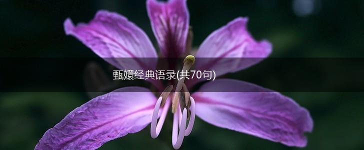 甄嬛经典语录(共70句),第1张