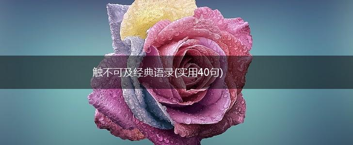 触不可及经典语录(实用40句),第1张